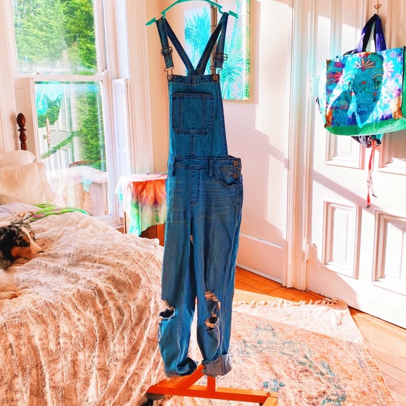Hollister Artist Distressed Denim Overalls (Full) - Picture 9 of 12